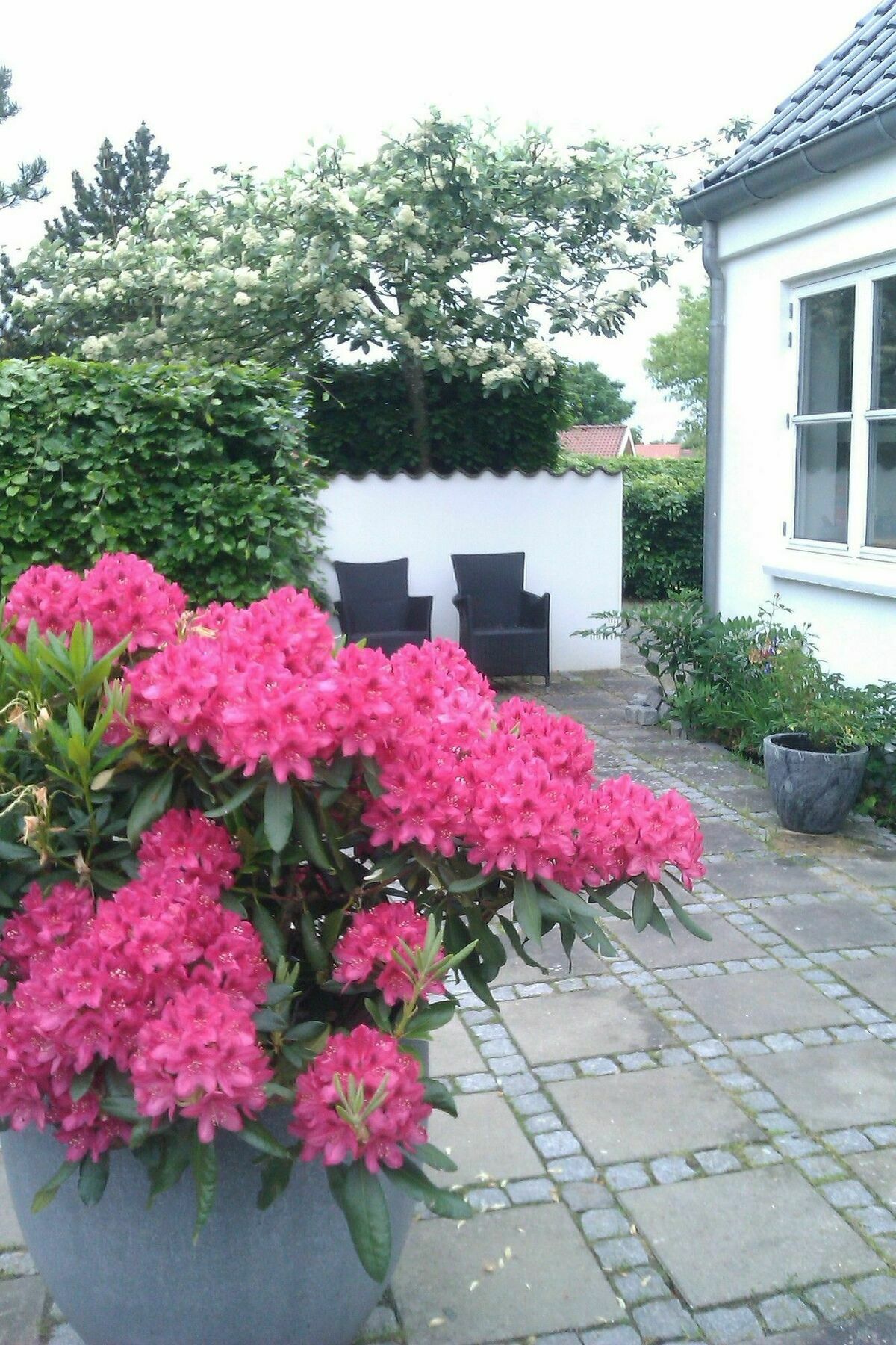 Helts B&B - Helts Guesthouse Herning Exteriér fotografie